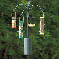 Bird Feeder Poles and Accessories